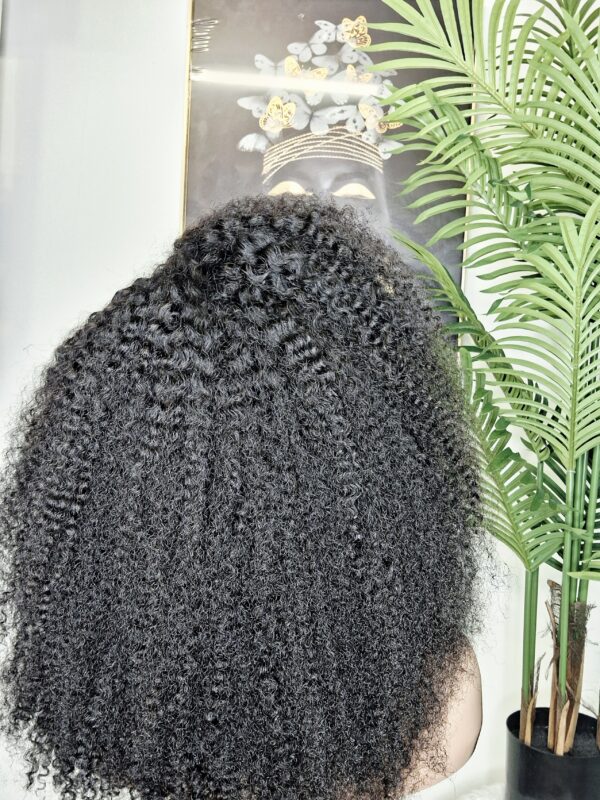 Perruque Chelsea – 16" Cheveux Indiens – Image 4